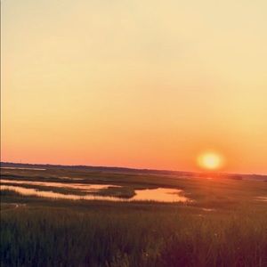 Meet your Posher, Bridget